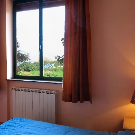Cerniglia 3*